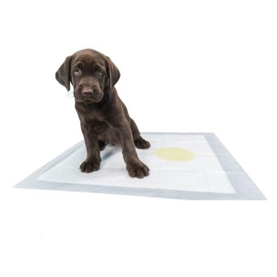 China Hygienic White Stocked Pee Cleaning Change Mats Disposable Training Pet Urine Pads For Dogs Cats for sale