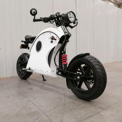 China China Racing Electric Motorcycles China Hot Sale E2-9 Electric Bicycle Motorcycle for sale