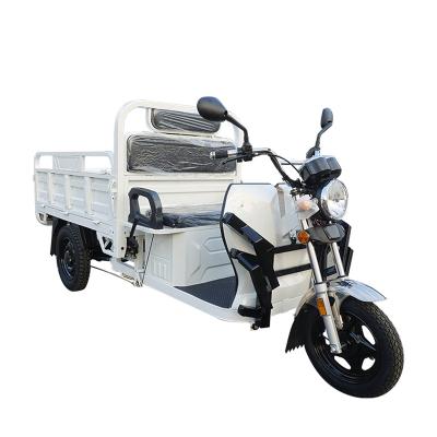 China 2022 Popular Good Quality Electric Cargo Tricycle 2022 Hot Selling Tricycles for sale