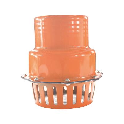 China Farmland Irrigation Suction Valve For Standard Ductile Iron Water Pump Suction Valve Colorful Plastic Pressure Reducing for sale