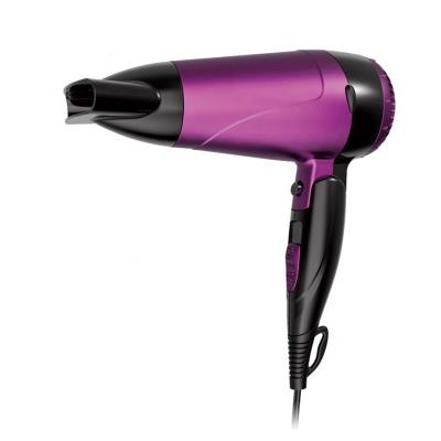 China China Ionic Hot Selling Manufacturers DC 1600W Wall Mounted Electric Body Hair Dryer for sale