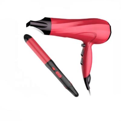 China Beauty Set Ionic Hair Dryer And Professional Hair Curler Hair Dryer for sale