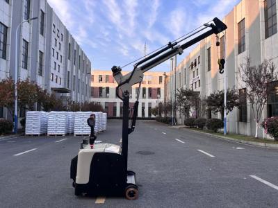 Chine Non Standard Electric Mini Crane Arm Truck Rated Lifting Capacity 300 KG à vendre