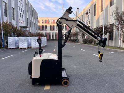 Chine 300 KG Lifting Capacity Non Standard Electric Crane Arm Counter Balance Forklift  Truck  Lifting Height 3000 MM à vendre