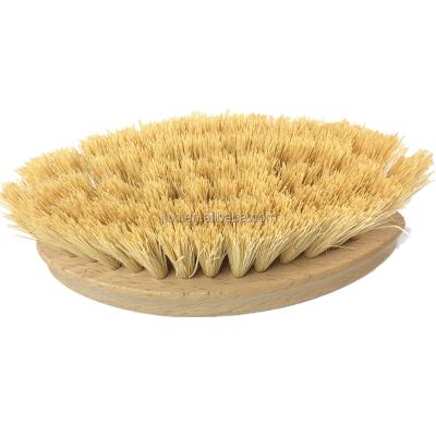 China Sustainable Natural Wooden Vegetable Cleaning Brush Dish Brush For Kitchen for sale