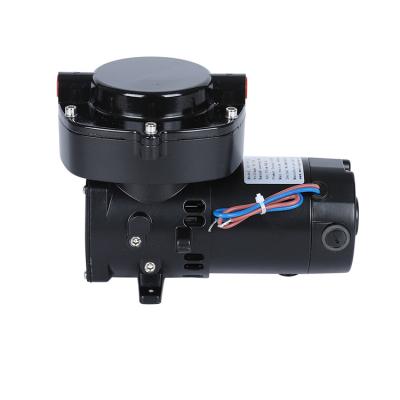 China GZ70-12 Food and Beverage Industry Plant Outlet Diaphragm Pump DC/AC Brushed/Brushless Vacuum Pump for sale