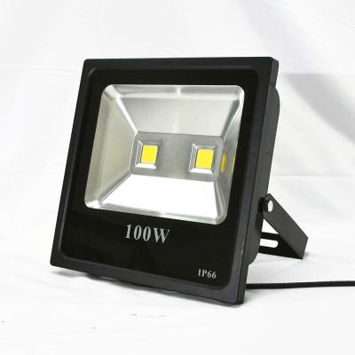 China Ip66 Water Proof 50w 100w 200w 300w Daylight Integration Project Type Structural Sensor Led Work Light For Wall Mounting for sale