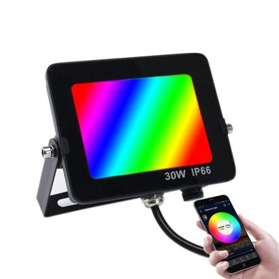 China Smart Designer Waterproof Bt Mesh App Flood Lights Ip 66 Rgb Cct 30w Led Reflector for sale