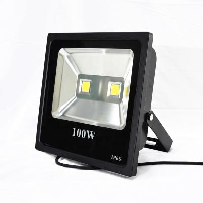 China High Quality High Brightness Structural Integration COB 50 Chip 100 Watt Low Voltage Intelligent Photocell Led Flood Light for sale