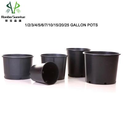 China Factory Supply CLASSIC Sunrise PP Ronbo Round 2 Gallon Nursery Pots for sale