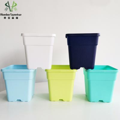 China Hot Selling CLASSIC Square Sunrise Ronbo Gallon Colored Nursery Pots Black Plastic Plant Pots for sale