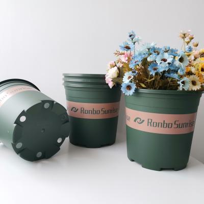 China CLASSIC Price Sunrise Green Gallon Nursery Pot Plastic Ronbo Pot for sale