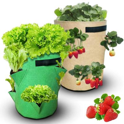 China Wholesale Durable Colorful Woven Fabric Sunrise Ronbo Large Gallon Garden Non Grow Bag for sale