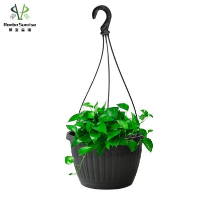 China Hot Sale 10 Inch Half Flower Plant Ronbo Indoor Or Outdoor Sunrise Around Classic Garden Hanging Basket for sale