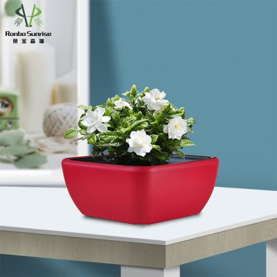 China Ronbo Ingenious Garden Sunrise Large Double Modern Decor Self Watering Plant Pot for sale