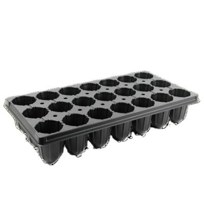 China Seed Growth Ronbo Sunrise 21T Black Plastic Grow Flat Polystyrene Nursery Seeding Tray for sale