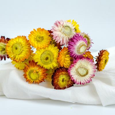 China Daisy Lasting Long Sunflower Dried flower straw boho decoration factory price best dry flowers wedding decor 2022 flowers for decorating rooms for sale