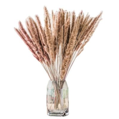 China Cheap Decoration Factory Price Pampas Grass Flowers Real Flower Dry Decorative Bouquet With Home Decoration Multi Color Shooting Props for sale