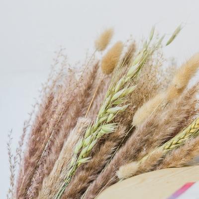 China Decoration Factory Supplies Dried Flower Pampas Grass Bouquet Decoration BOHO Party Wedding Decor Holiday Christmas Gifts for sale