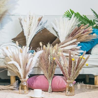 China Free sample factory supply pampas grass flower bouquet decoration dried flower BOHO party wedding decor for sale