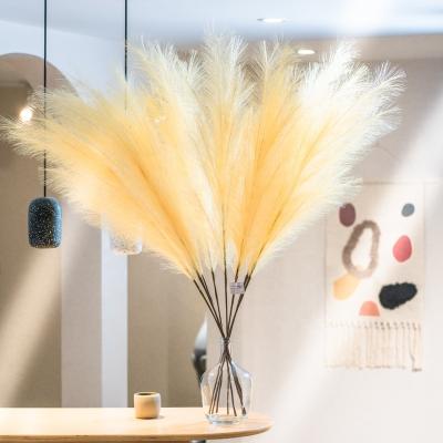 China 2022 Celebration Artificial Amazon Pampas Grass Home Wedding Decoration Feather Pampas Grass Gift Decor Large Fake Elegant Silk Wrapping for sale