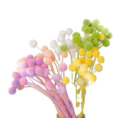 China New Product From Amazon Decoration Preserved Flower Ball Gold Multi Color Optional Home Decoration Bouquet With Assorted Materials for sale