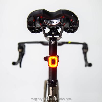 China 2021 Plastic New Fashionable Bike Hidden Light Bicycle Led Solar Bike Lights Bikes for sale