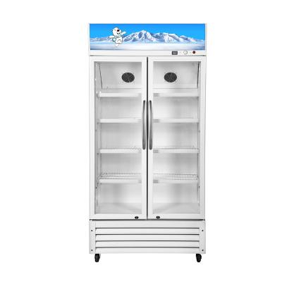 China Commercial Hotel 2 Door Freezer Large Capacity Glass Door Display Freezer for sale