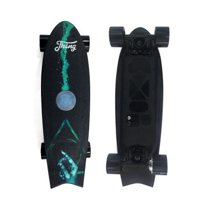 China Hot Sale H5 Electric Skateboard Longboard 4 Wheel Outdoor Activities 350W Skateboard Motors Remote Controller for sale