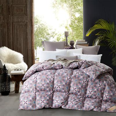 China Home Goose 100% Good Quality Print Shell Twin Full Queen King Cotton Down Filler Winter Comforter Comforter Quilt for sale