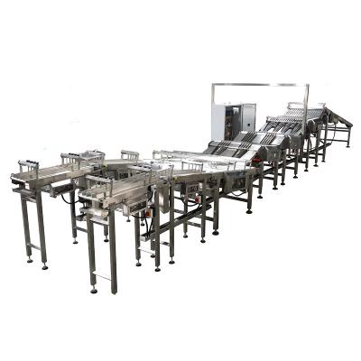 China Food Grade Custom Food Grade Biscuit Automatic Conveyor Sorting System For Food Industry for sale