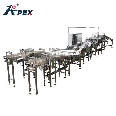 中国 Food Grade Automatic Inline Feeding System Food Grade Automatic Belts Feeder Conveyor For Biscuit 販売のため