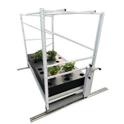 China Automated Water Circulation System Two-Layer Aeroponics Mounting System For Flower Growing for sale