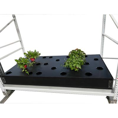 China Automated Water Circulation Aeroponic System Systems For Growing Medicinal Herbs Aeroponics System Hydroponics System Automatic High Pressure Aeroponics System for sale