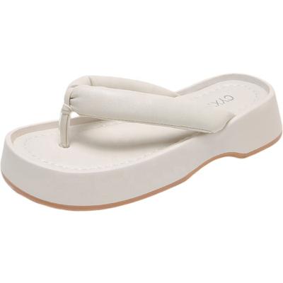 China New Chunky Sole Flip-Flops Summer Women Female Outdoor Fashion Trend Clip-toe Non-slip Beach Slippers for sale