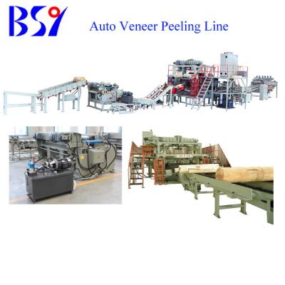 China Plywood Machinery BQK1913/4 CNC Single Chuck-Non Chuck Combined Rotary Lathe For Veneer for sale