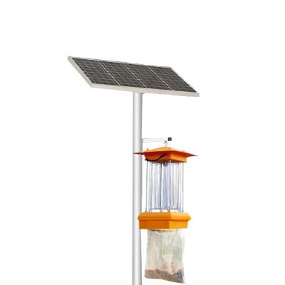 China Automatic Rainy Day Protection Grow Garden Mosquito Killer Lamp Solar Lawn Light Insect Zapper for sale