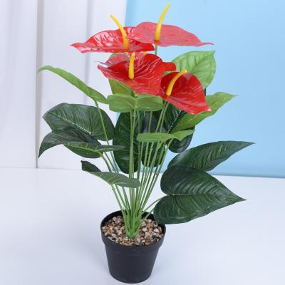 China High Simulation Anthurium Flowers And Green Plants Indoor Potted Home Decoration Hotel Lobby Decoration Manufacturers Wholesale for sale