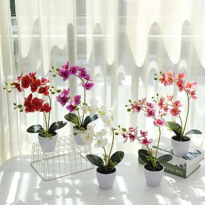 China High simulation new 3d printed Phalaenopsis simulation bonsai makers directly for artificial plants for sale