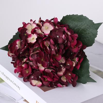 China High Simulation Artificial Flower For Home DecorReal Natural Dry Flower Preserved Hydrangea Flowers Branches Forever Everlasting Hydrangeas for sale