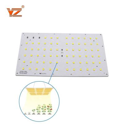 China Wholesale Custom Aluminum Led PCB Grow Light PCB Board LM281B 301B 660nm Red LED SMD Led PCB Boards for sale