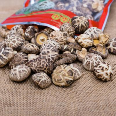 China Healthy Dried White Dried Mushroom Oyster Mushroom Dried Red Mushroom for sale