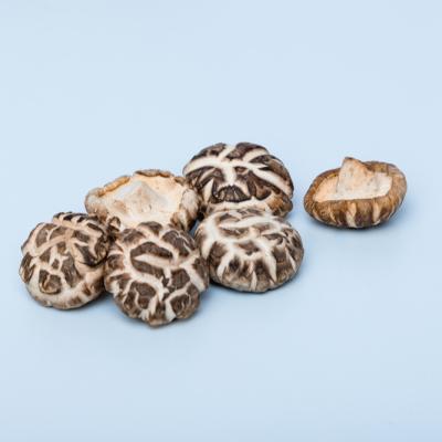 China Healthy Dried Slices Spread Dried Mushroom Packing Dried Boletus Mushroom for sale