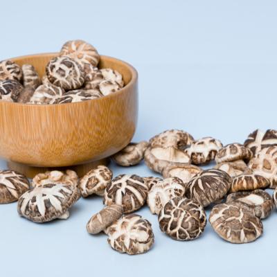 China Healthy Straw Mushroom Dried Dry Mushroom Small Oyster Mushrooms for sale