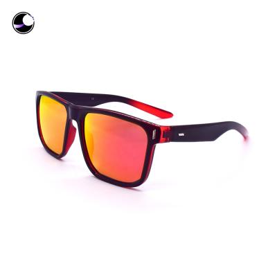 China Fashion Sunglasses Arrow Misses - AFG - 488 - Newest Polarized Sunglasses Fashion Sunglasses Polarized Premium UV400 Sunglasses for sale