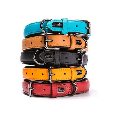 China Sustainable Basic Classic Padded Leather Pet Collars For Cats Puppy Small Medium Dogs for sale