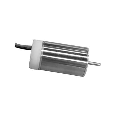 China 2021 High Quality Brushless DC Motor Coreless DC Brushless Motor For Sale YEC19-SERIES for sale