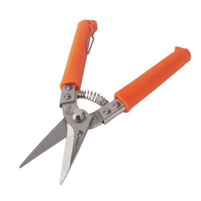 China Anti-skid Garden Hydroponic Straight Scissors Stainless Steel Cutter Blade Handle Pruner Flower Gardening Trimming Shears Small for sale