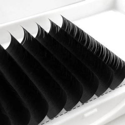 China Natural Factory Long Direct Selling Lash Extension Grafting Eyelash Individual Eyelash Extension 3d Mink Lash Extension Tray for sale