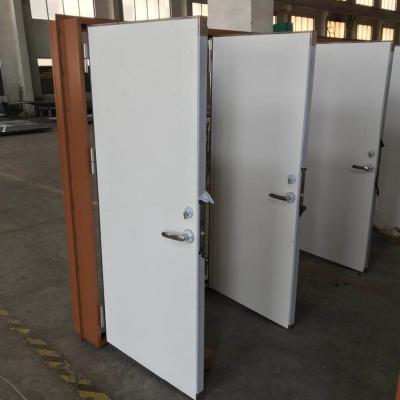 China Rock Wool Marine Ship Cabin A0 Interior Fire Rated Door For Shipbuilding for sale